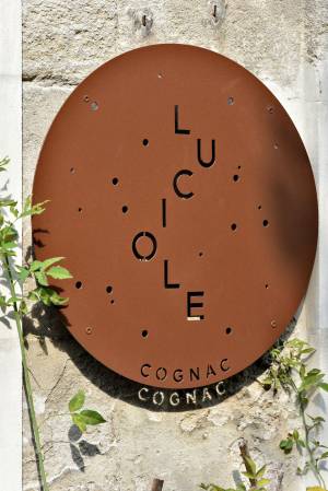 PLUIES DE LUCIOLES