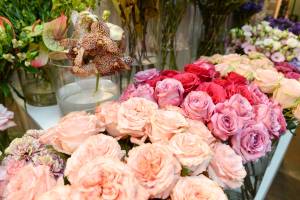 RENNAISSANCE FLORAL